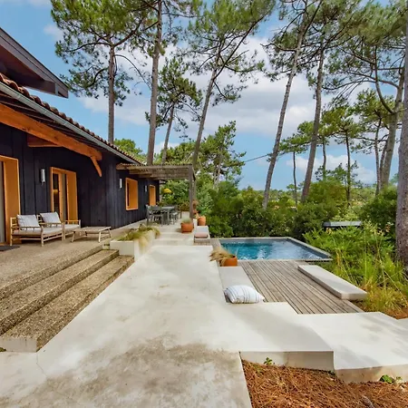 Cap-ferret, Vue Bassin-pinede * Lege-Cap-Ferret