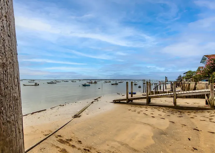 Cap-ferret, Vue Bassin-pinede 别墅 *